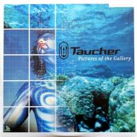 Виниловая пластинка TAUCHER / PICTURES OF THE GALLERY (2LP)